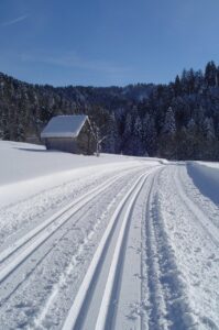 winter landscape, cross-country ski run, nature, cross country skiing-1045734.jpg