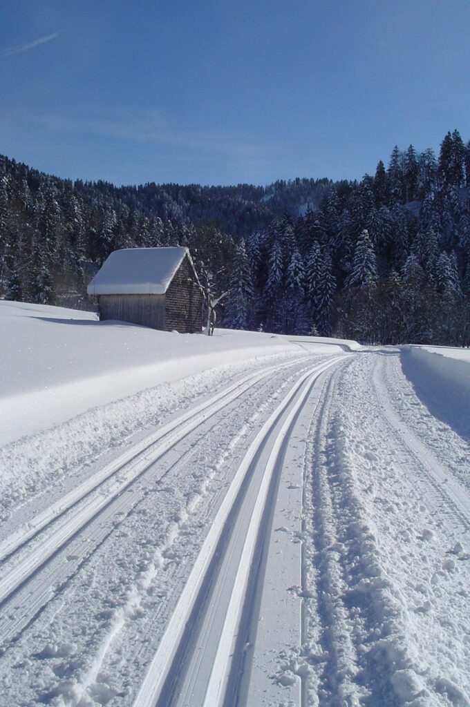 winter landscape, cross-country ski run, nature, cross country skiing-1045734.jpg